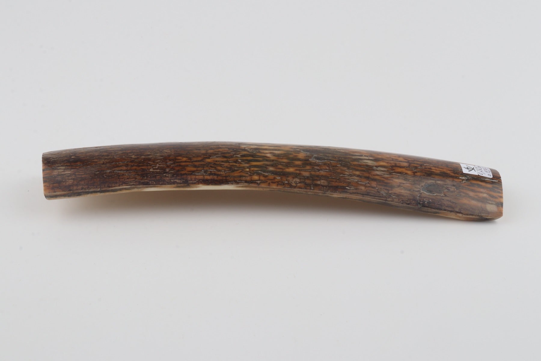 Brown-green mammoth bark