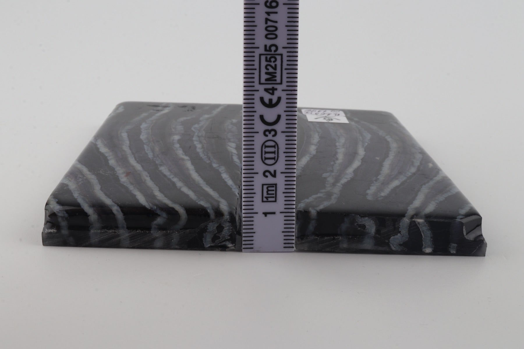 Stabilized mammoth molar scales
