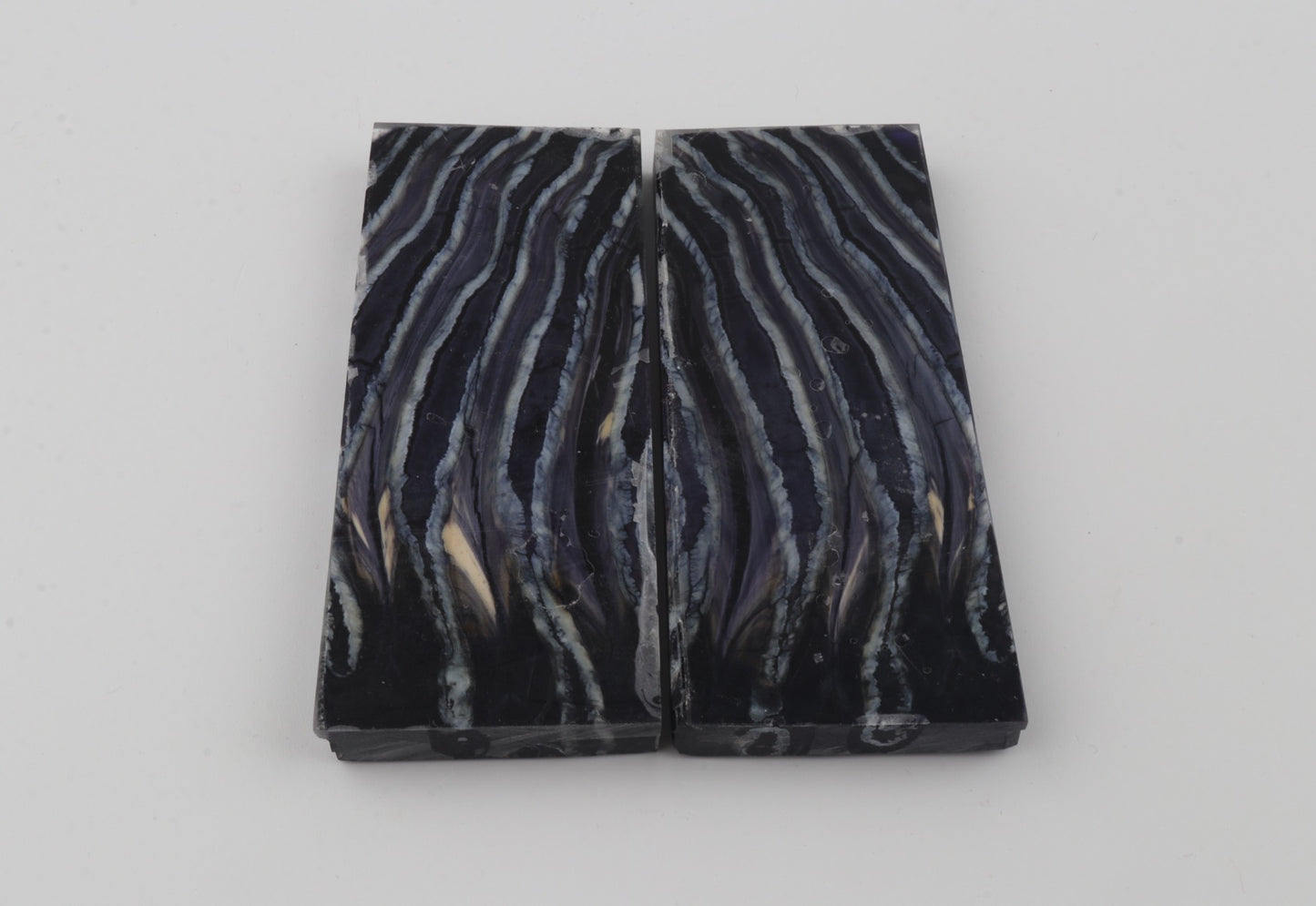 Stabilized mammoth molar scales