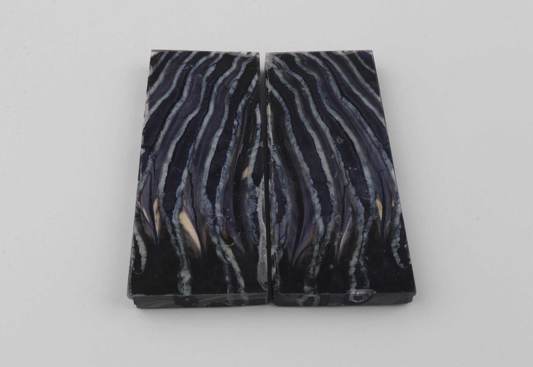 Stabilized mammoth molar scales