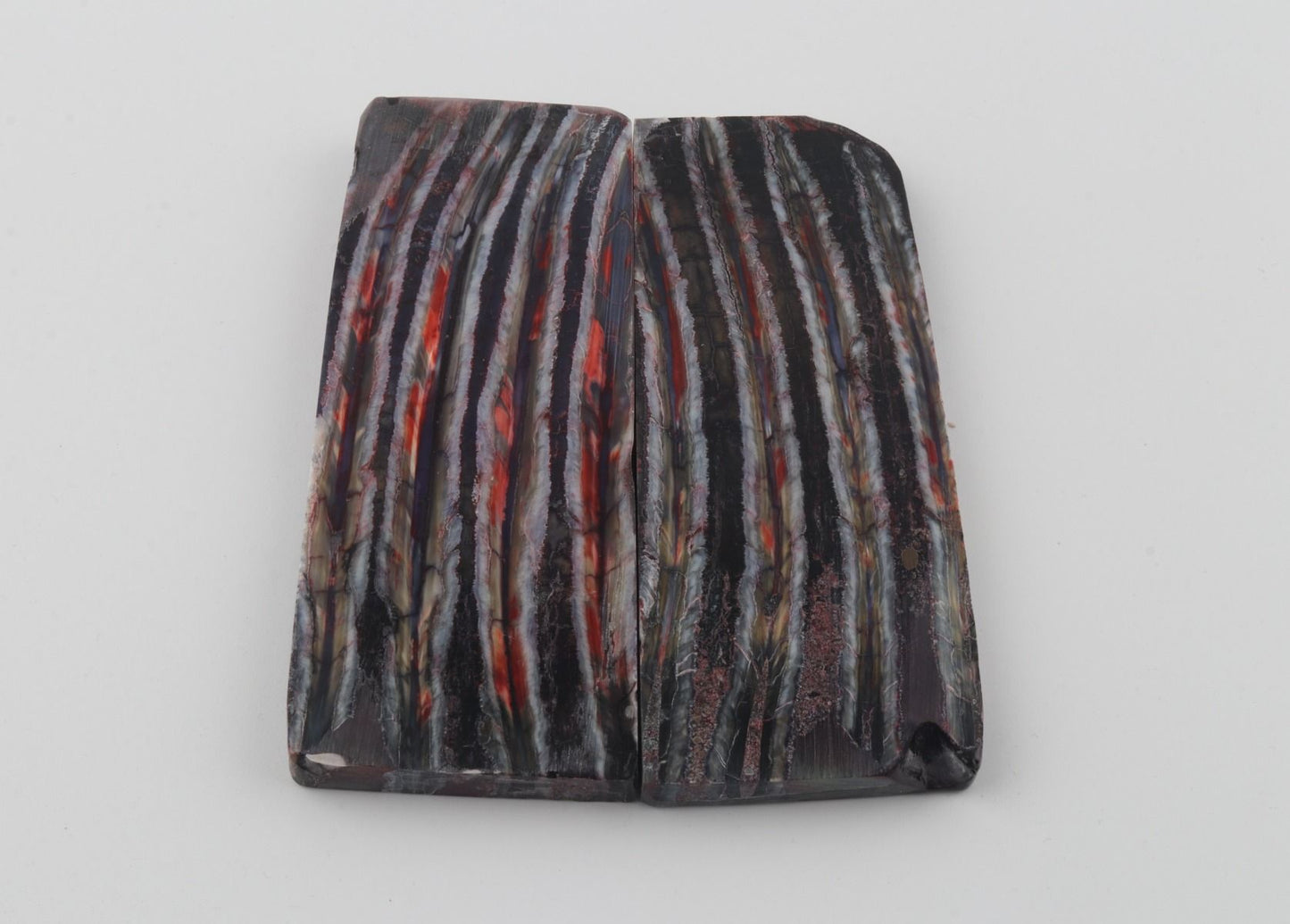 Stabilised mammoth molar scales