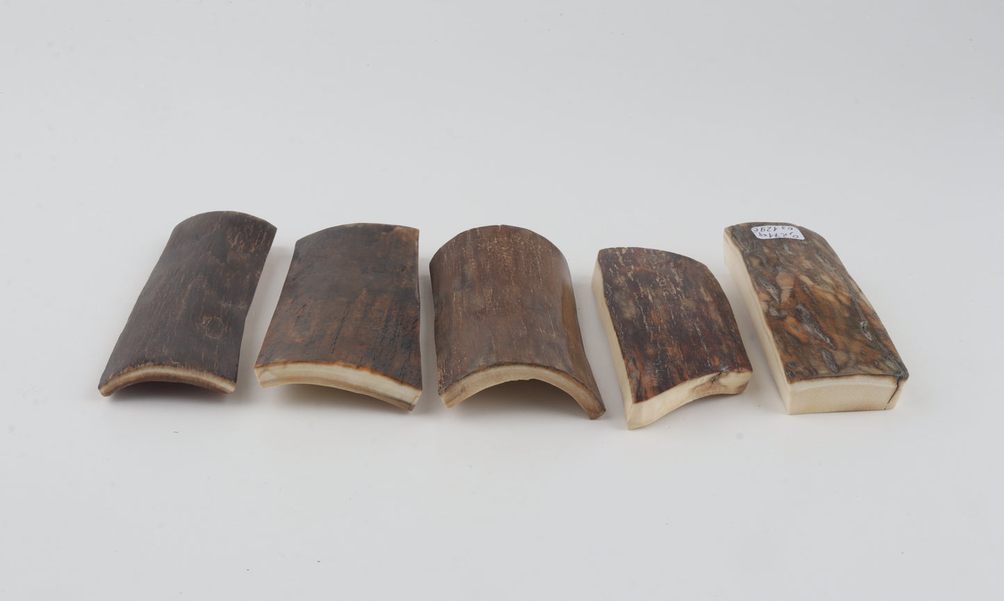 Natural mammoth bark pieces