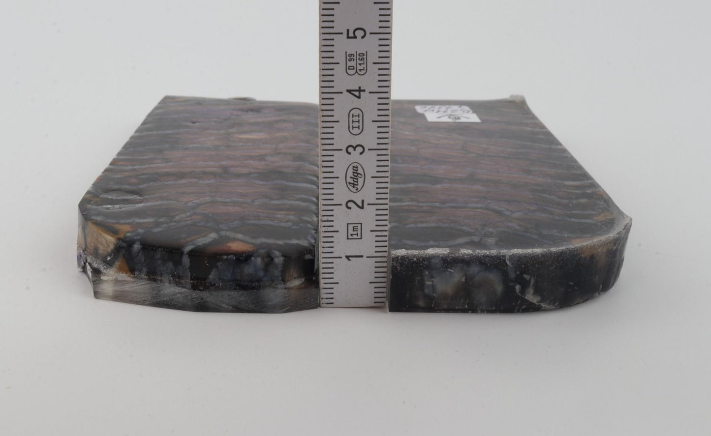 Stabilised mammoth molar scales