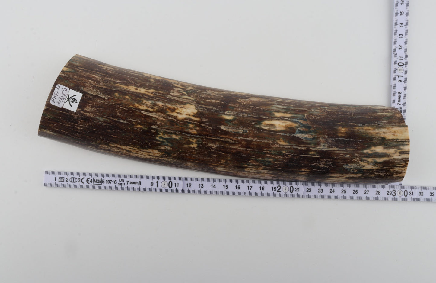 Brown mammoth bark