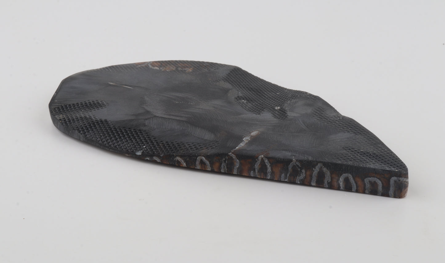 Stabilized mammoth molar slab