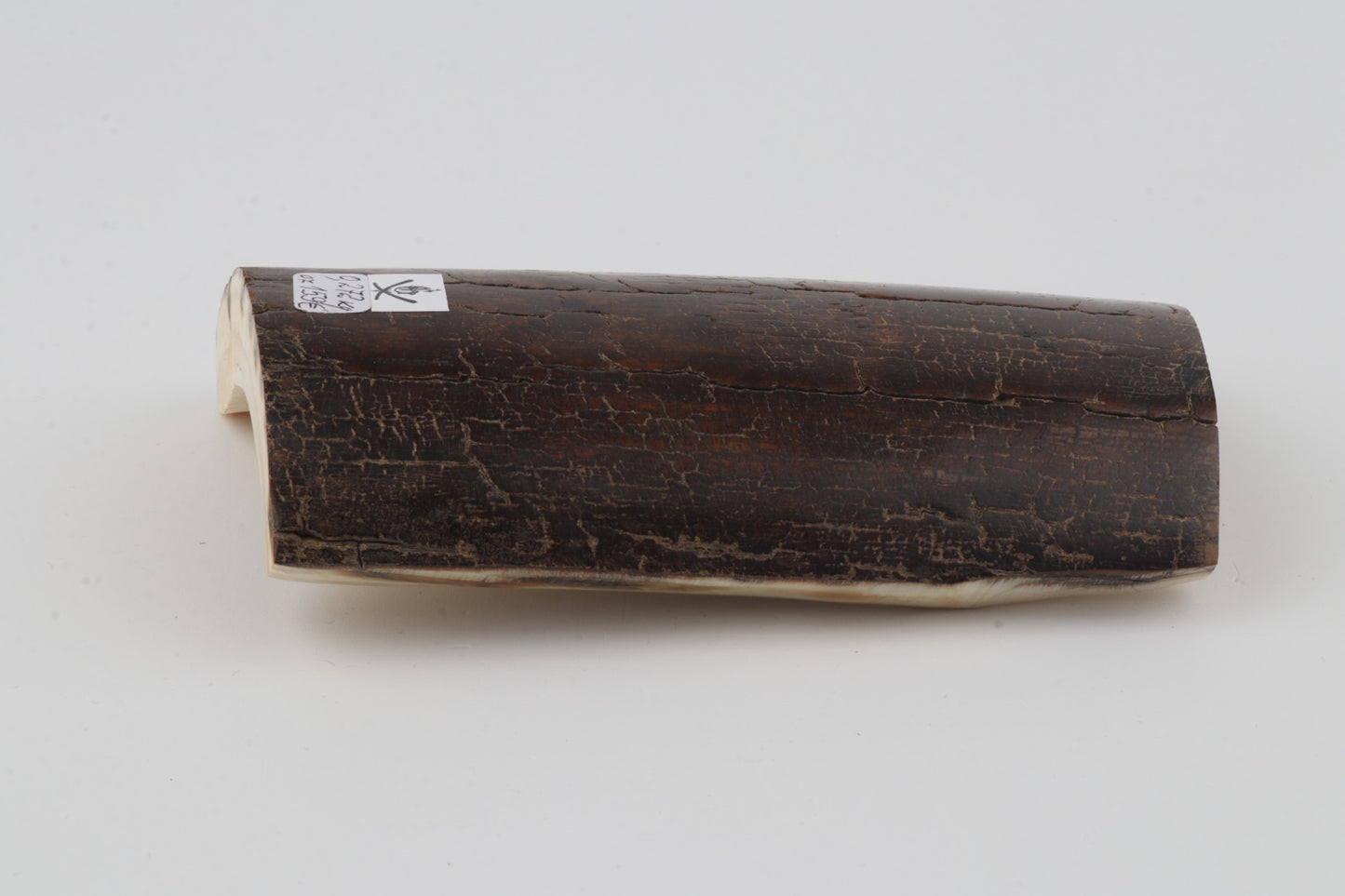 Brown mammoth bark