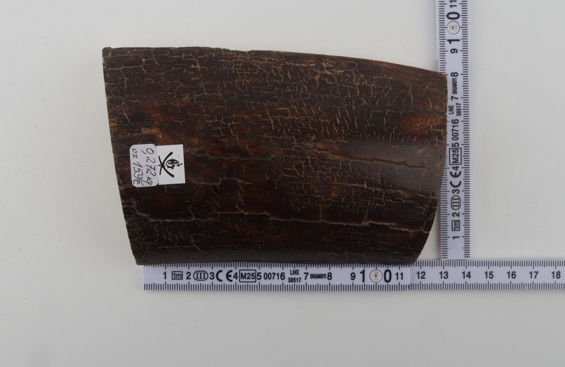 Brown mammoth bark