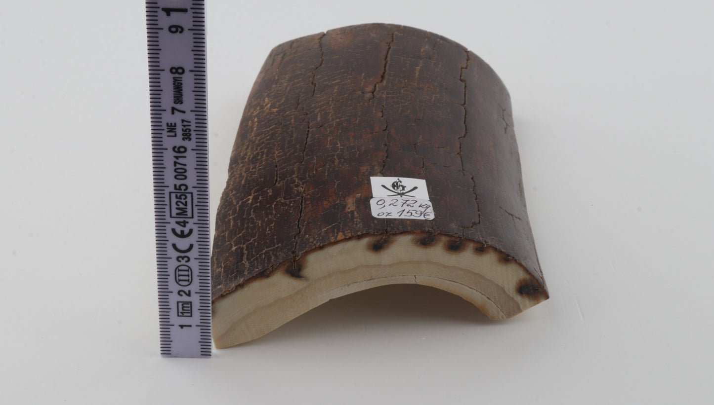Brown mammoth bark