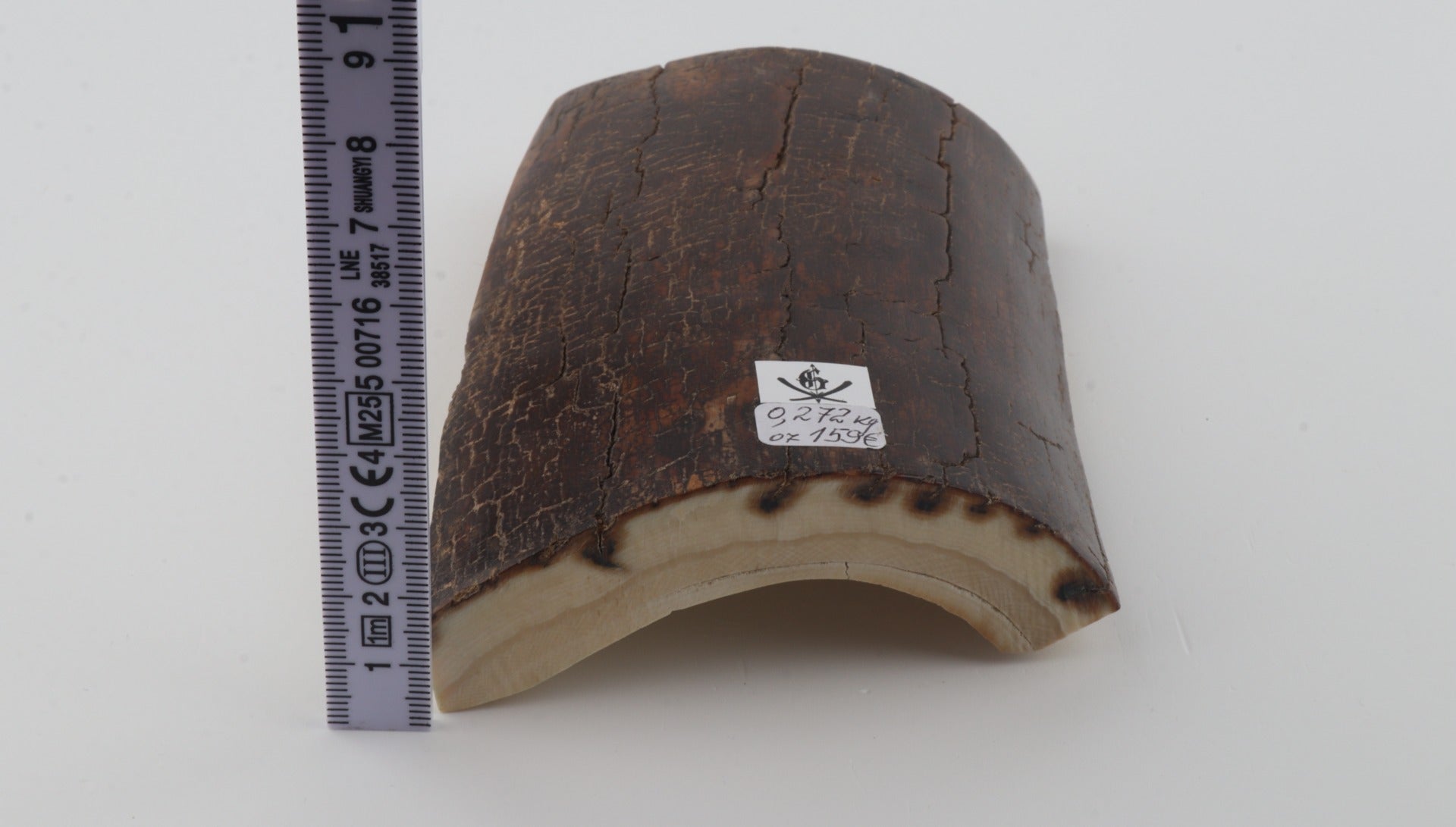 Brown mammoth bark