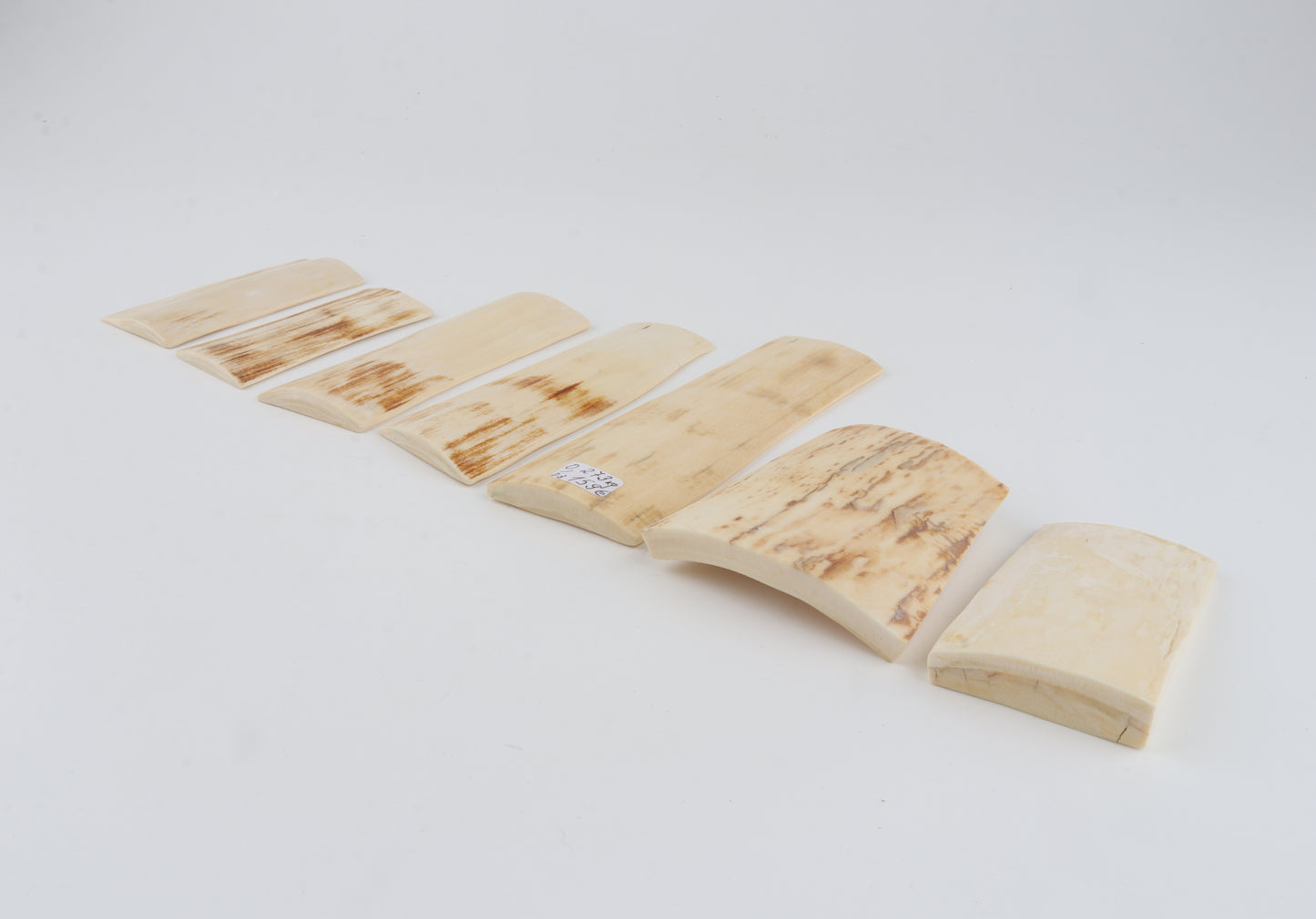 Natural mammoth bark pieces