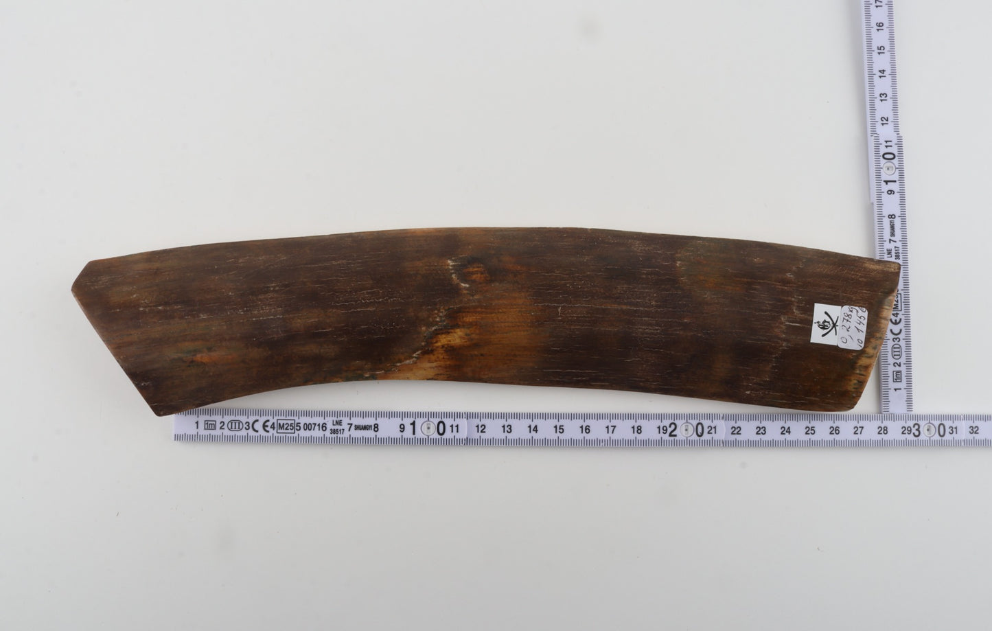 Brown mammoth bark
