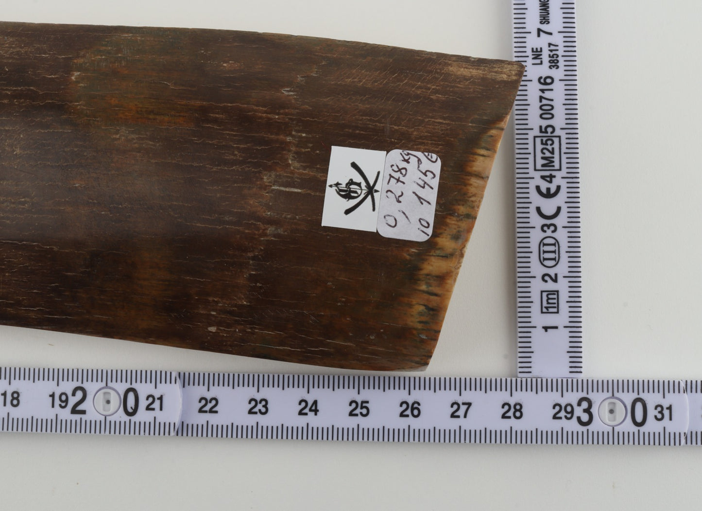 Brown mammoth bark