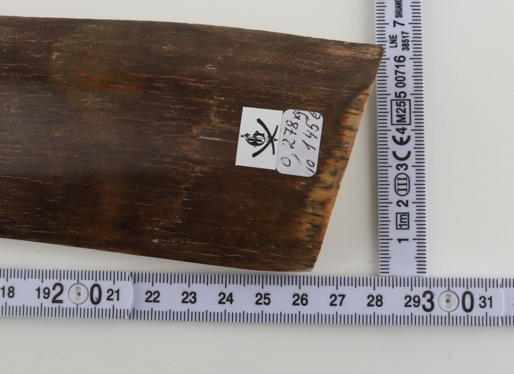 Brown mammoth bark