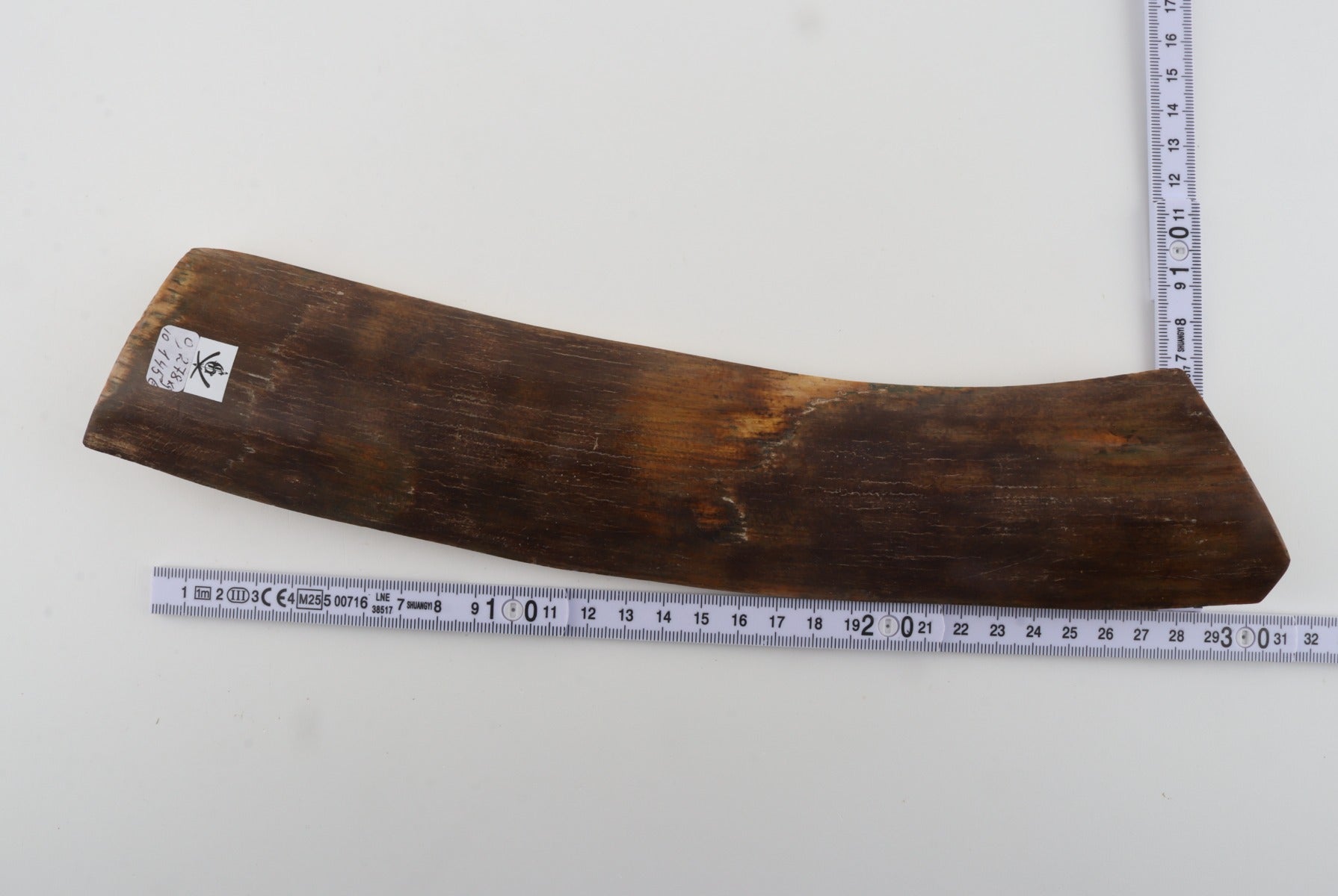 Brown mammoth bark