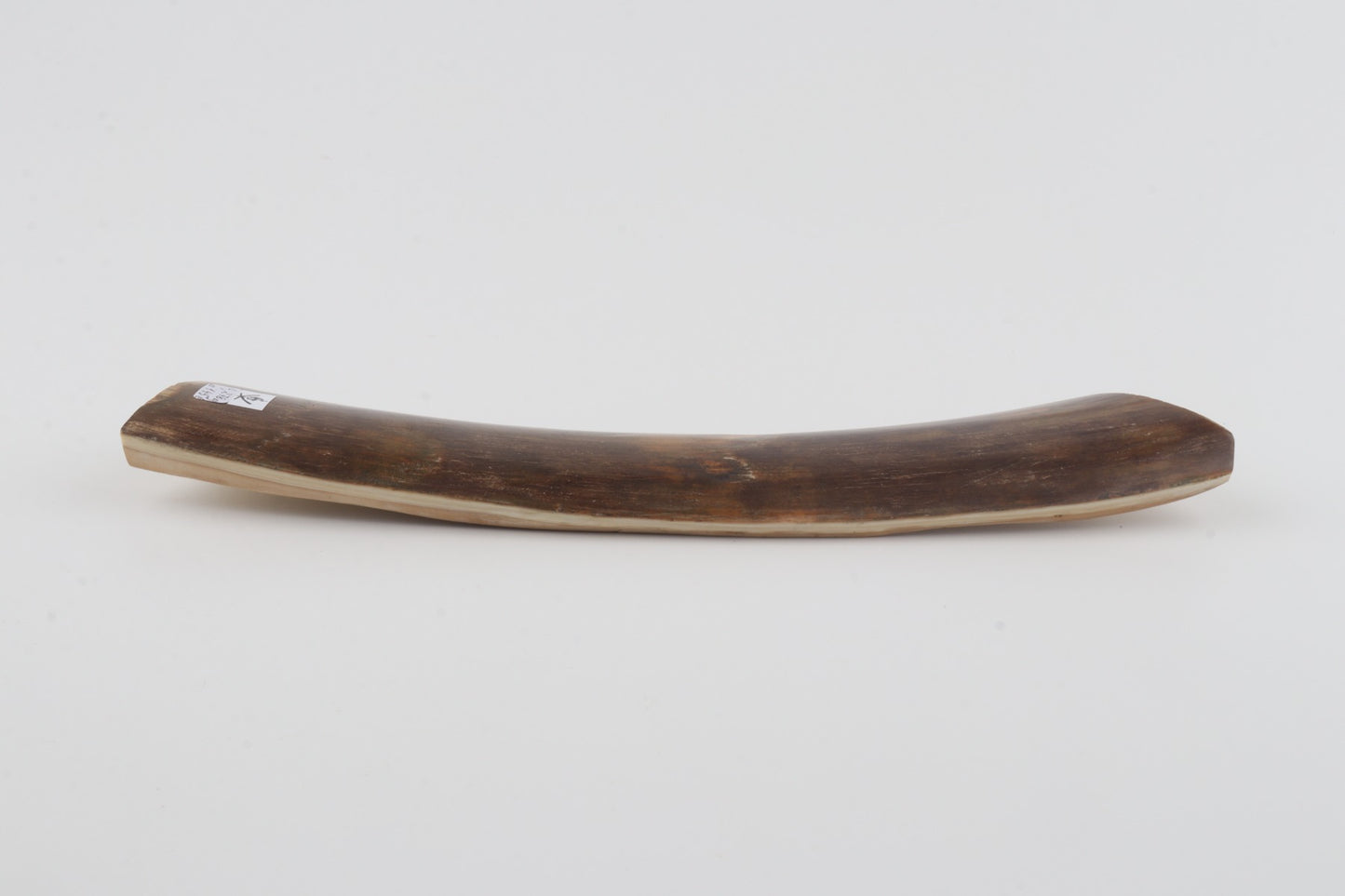 Brown mammoth bark