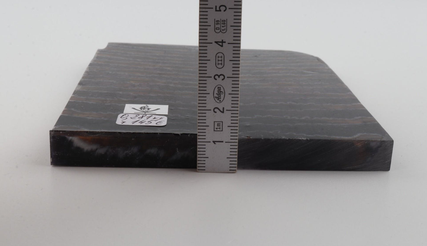 Stabilised mammoth molar scales