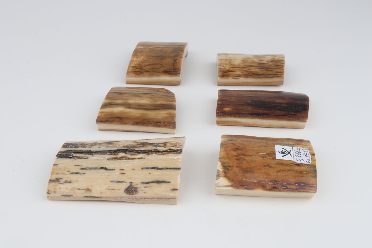 Natural mammoth bark pieces