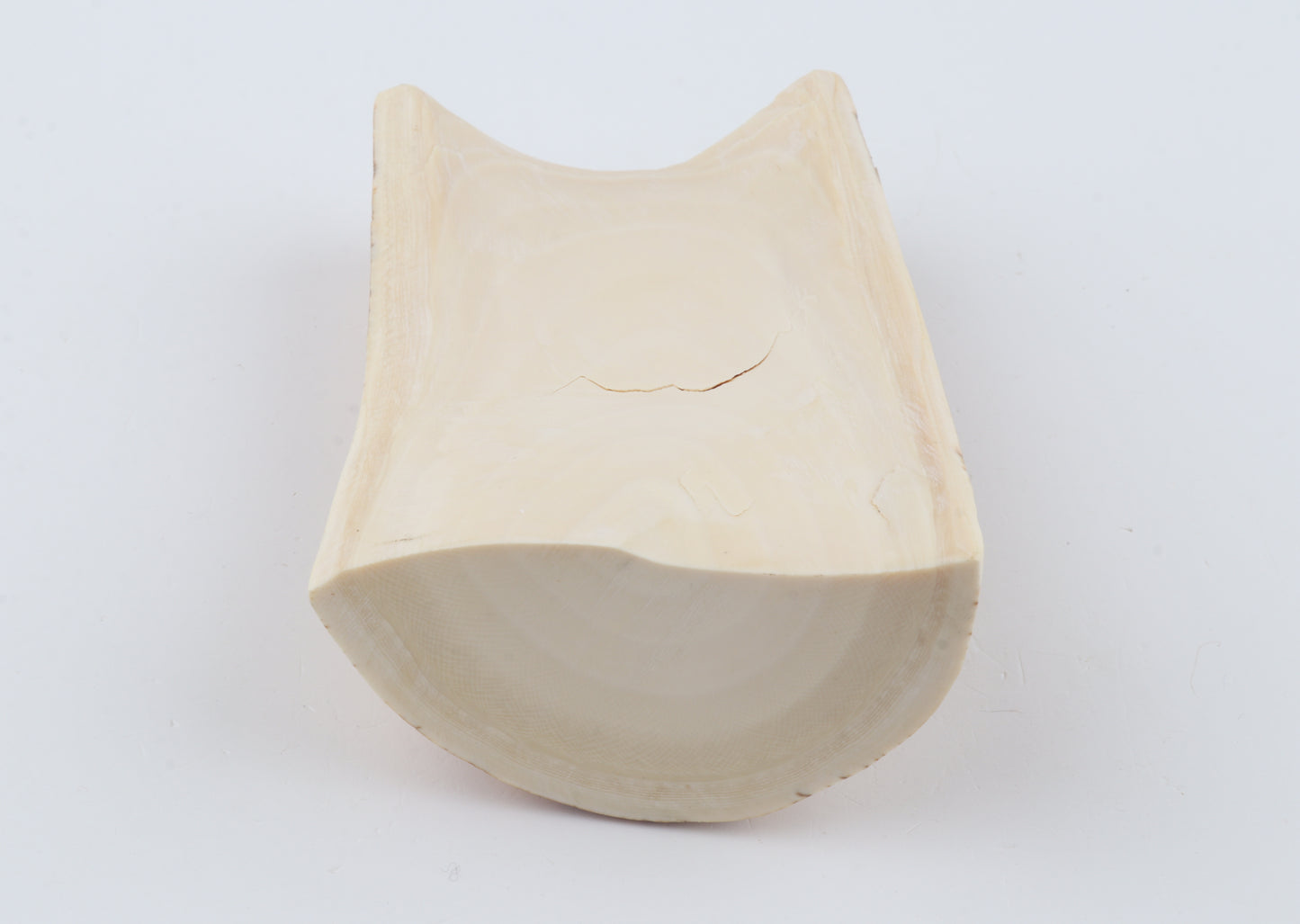 Woolly mammoth ivory piece