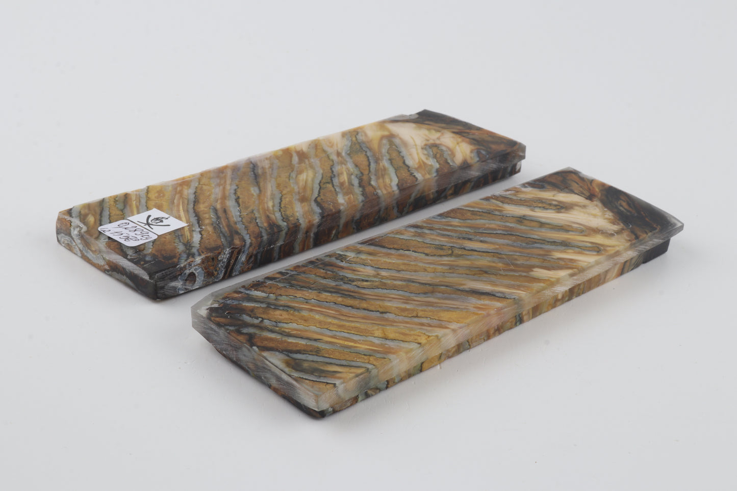 Stabilised mammoth molar scales