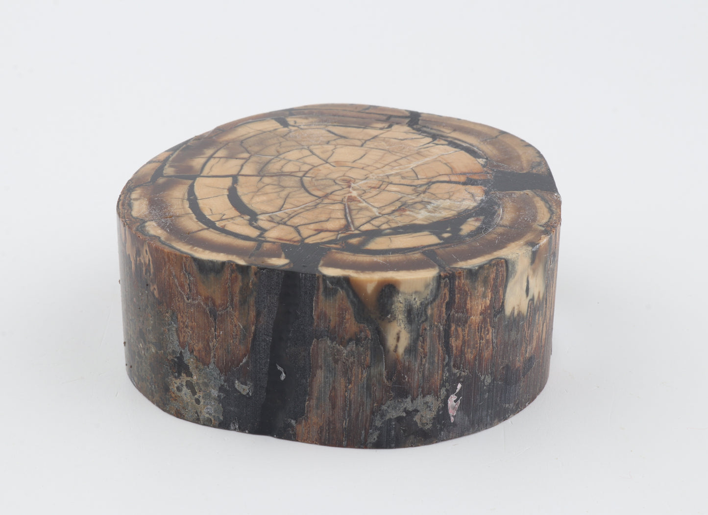 Stabilized mammoth ivory block