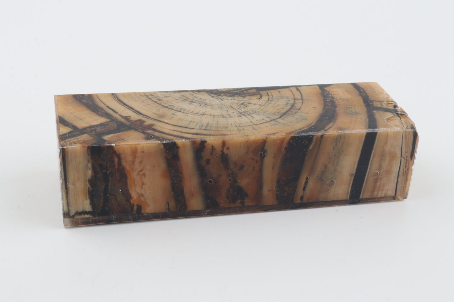 Stabilized mammoth ivory block