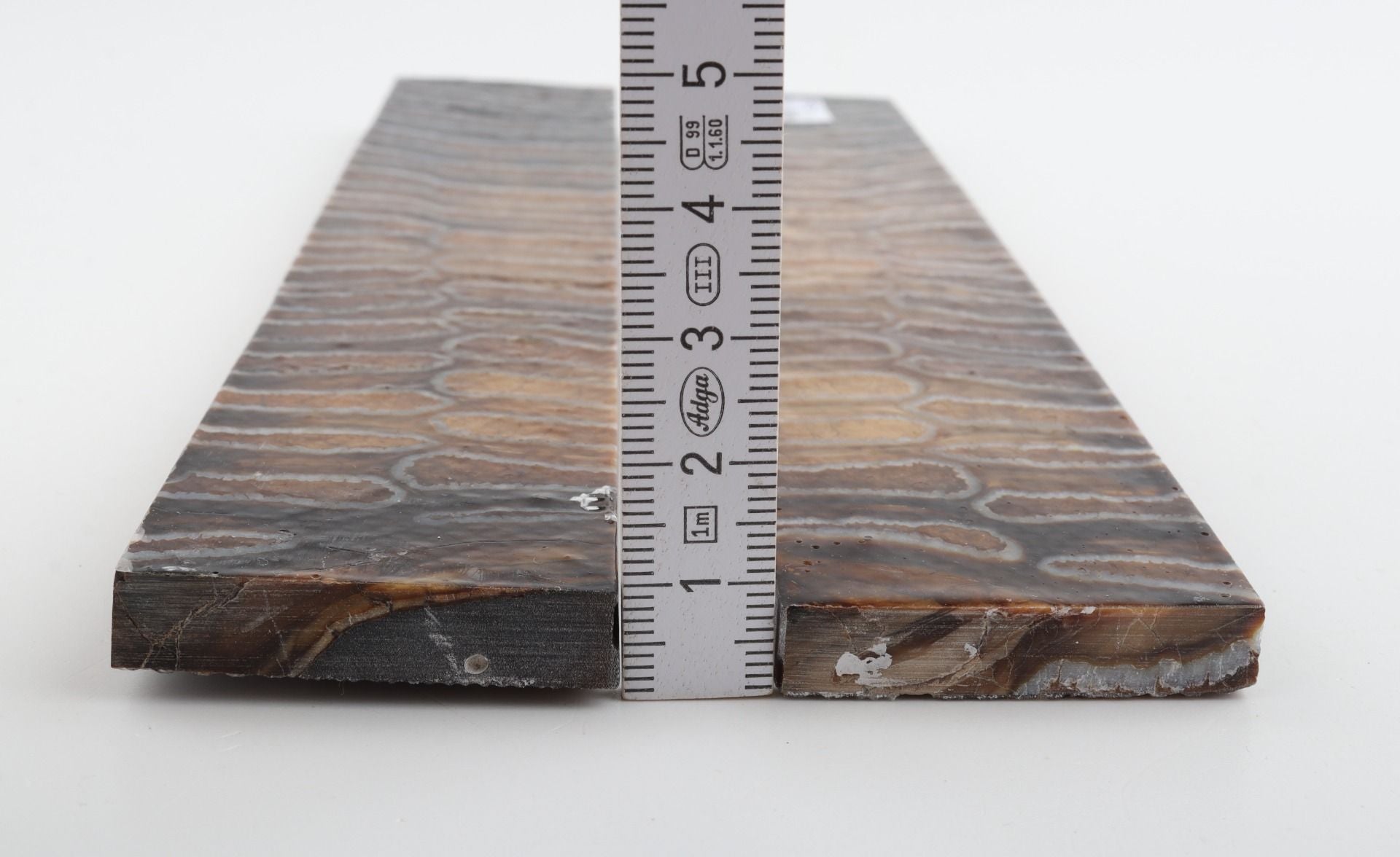 Stabilised mammoth molar scales