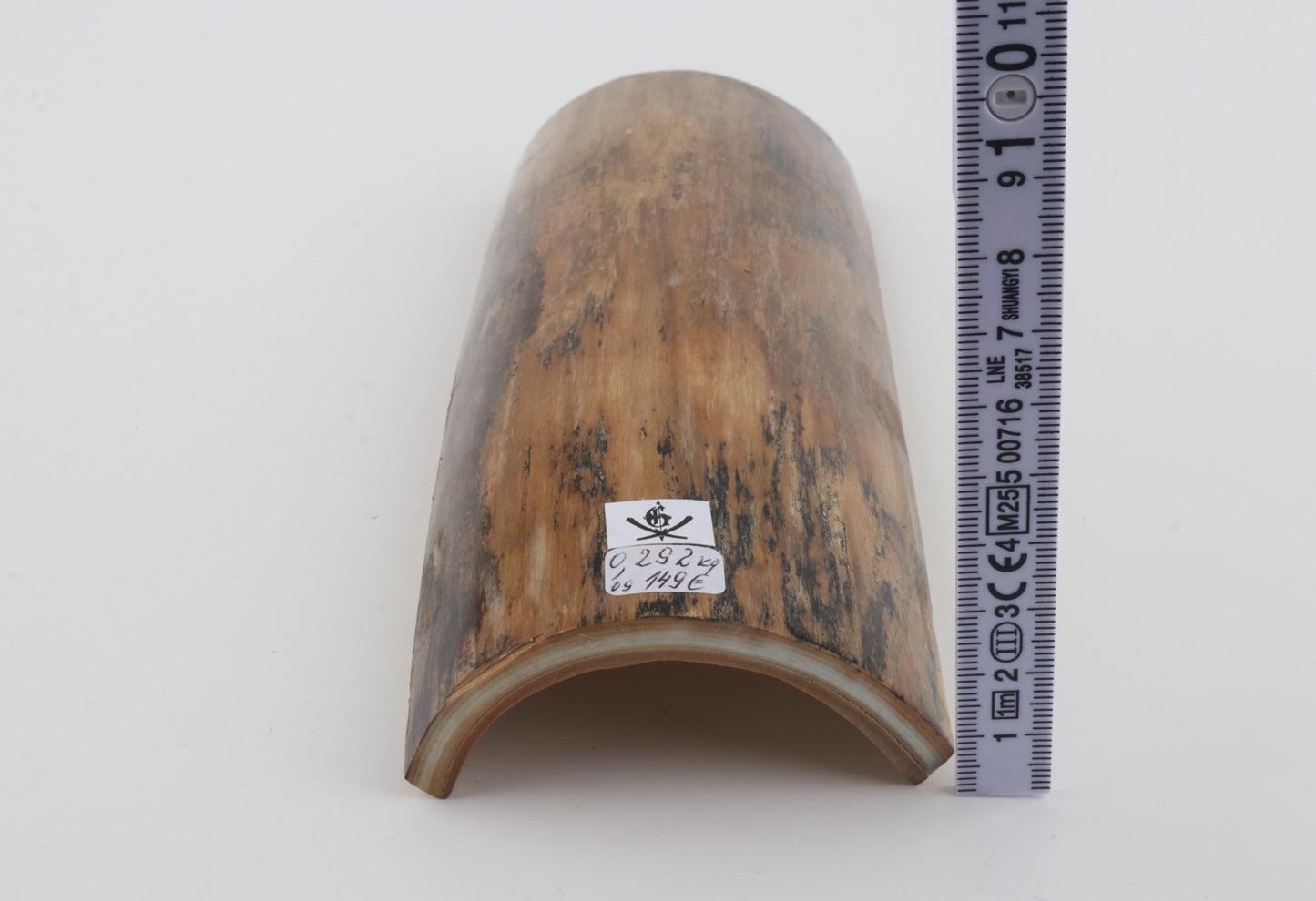 Beige mammoth bark