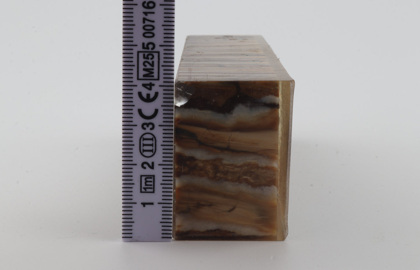 Stabilized mammoth molar block