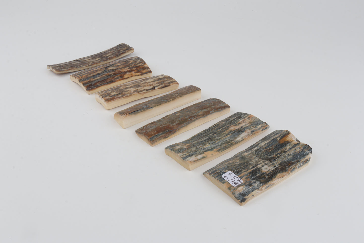 Natural mammoth bark pieces