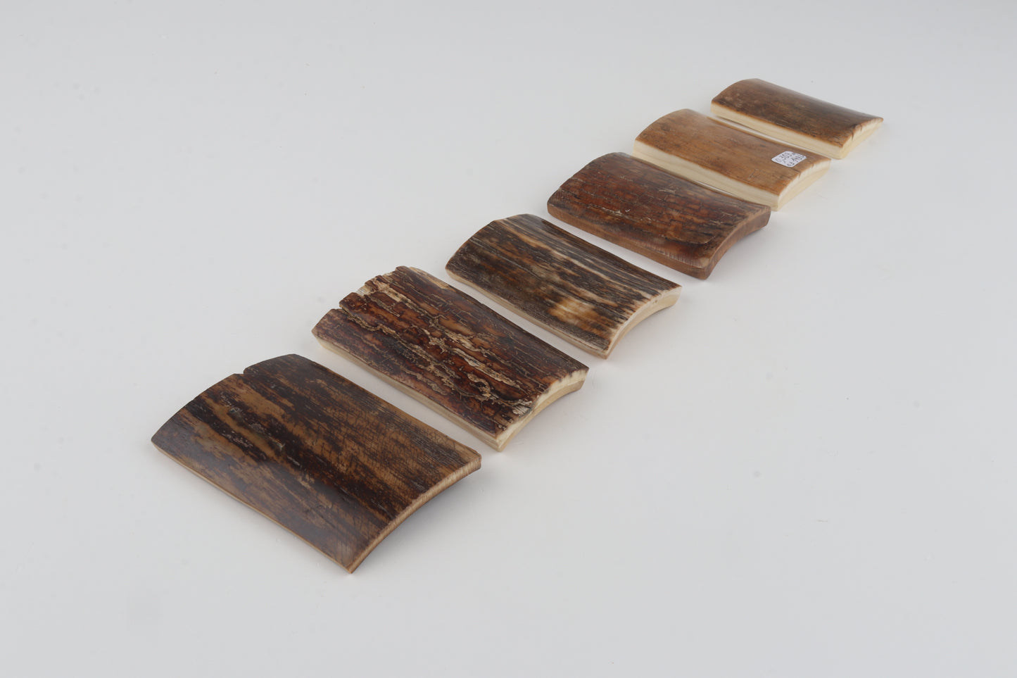 Natural woolly mammoth bark