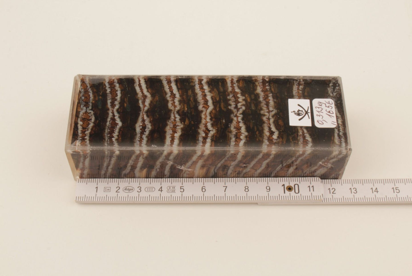 Stabilized mammoth molar block