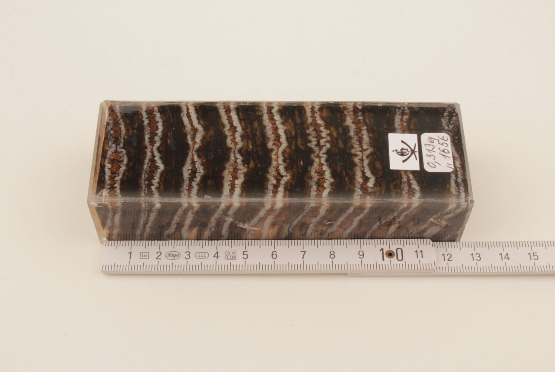 Stabilized mammoth molar block