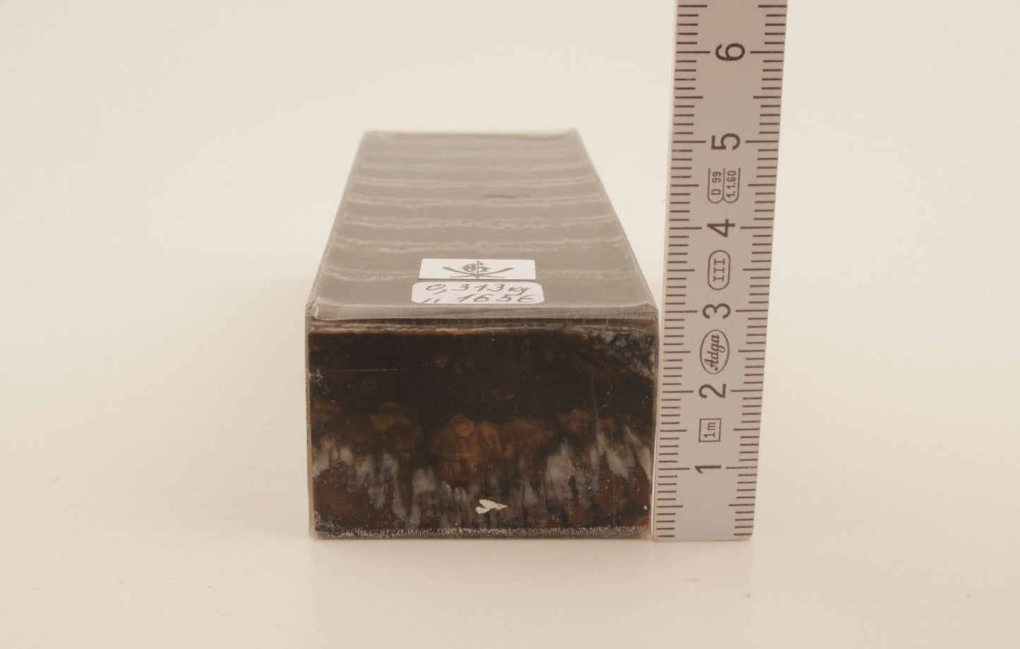 Stabilized mammoth molar block