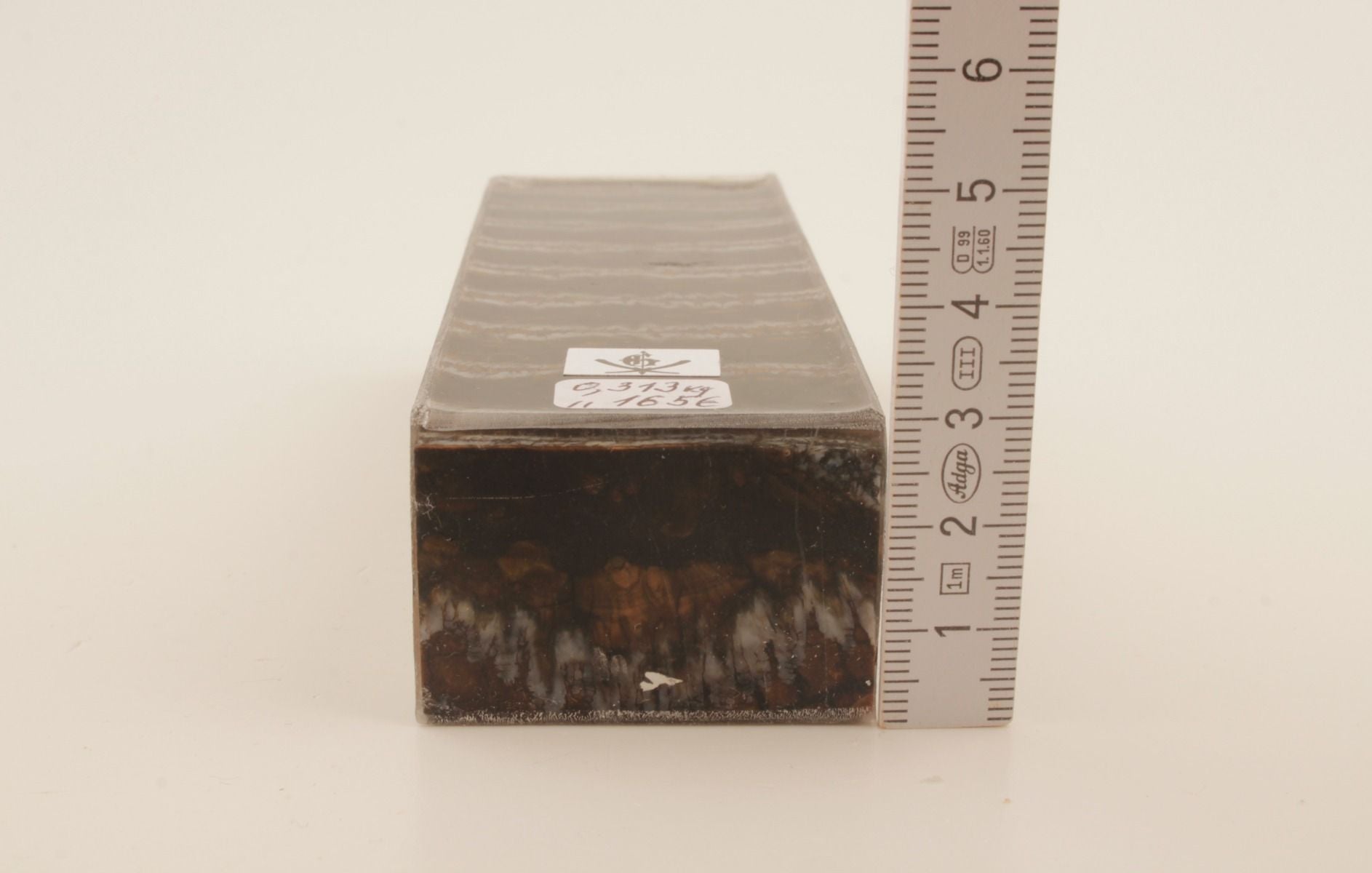 Stabilized mammoth molar block