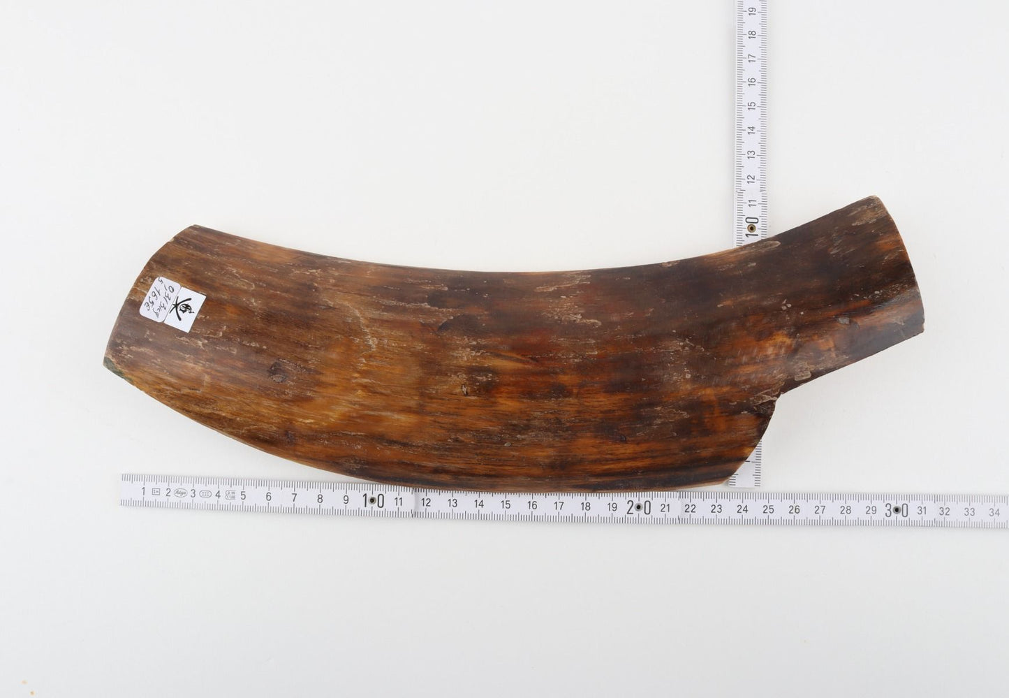 Brown mammoth bark