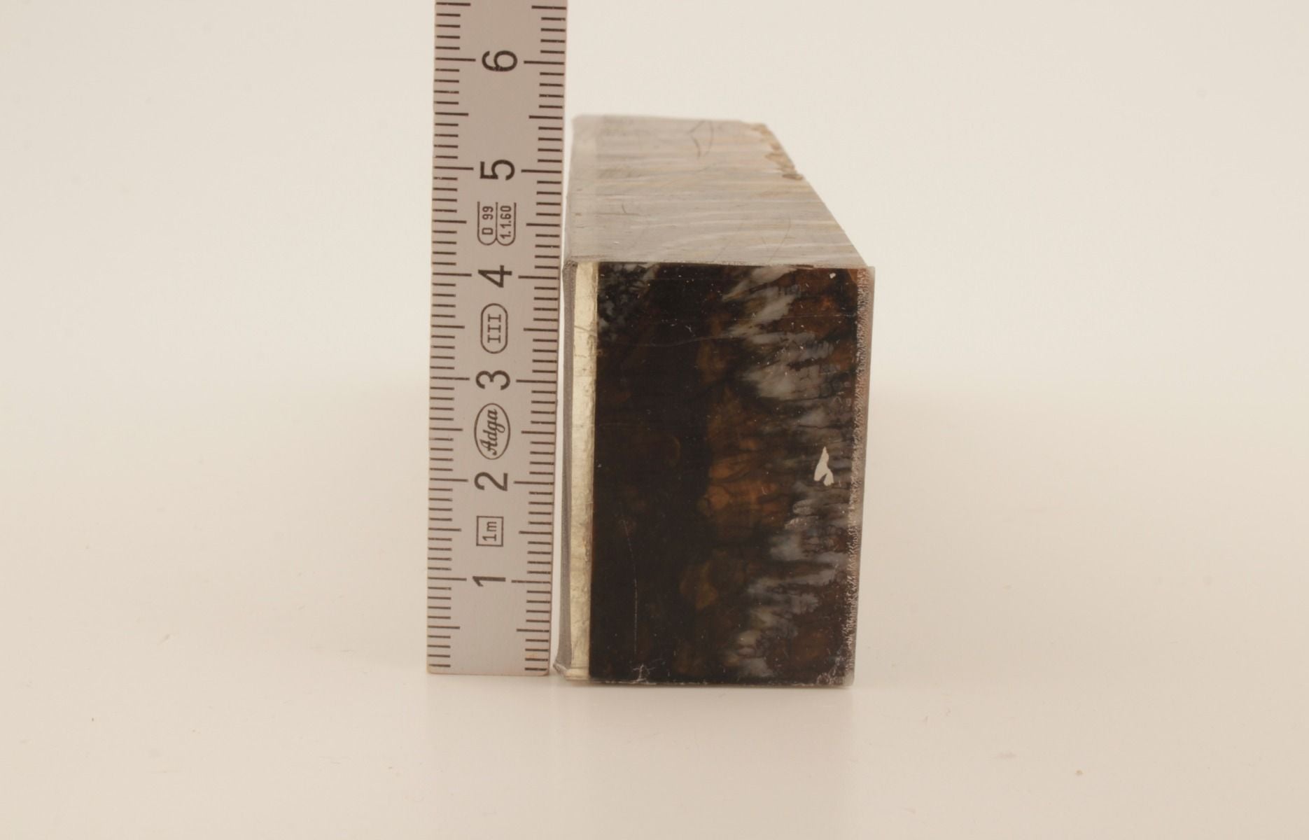Stabilized mammoth molar block