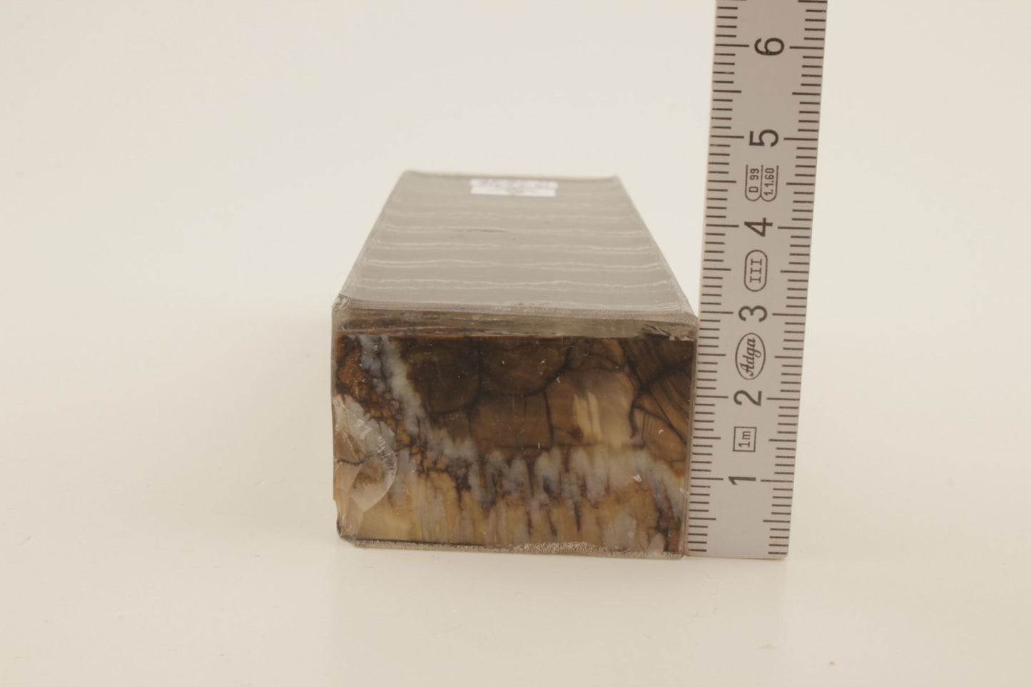 Stabilized mammoth molar block