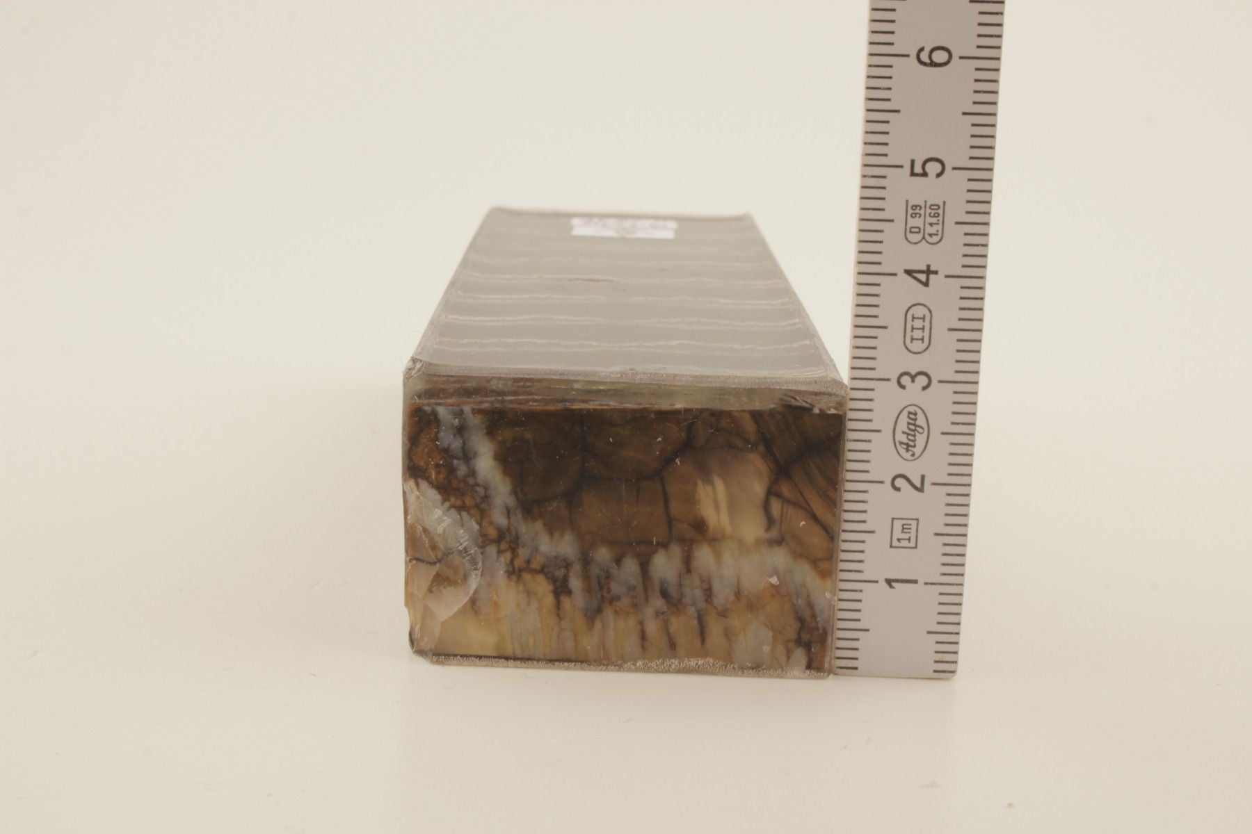 Stabilized mammoth molar block