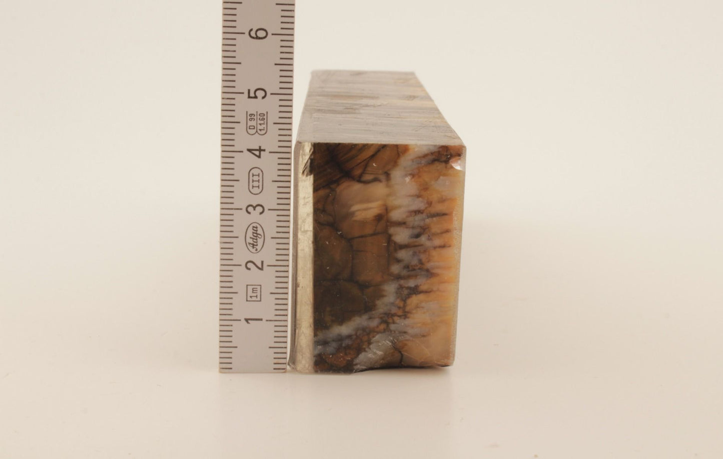 Stabilized mammoth molar block