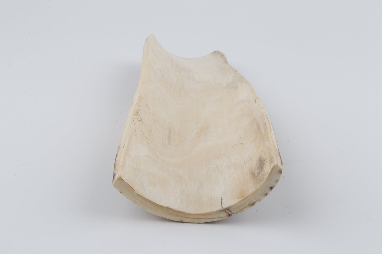 Green-brown mammoth bark