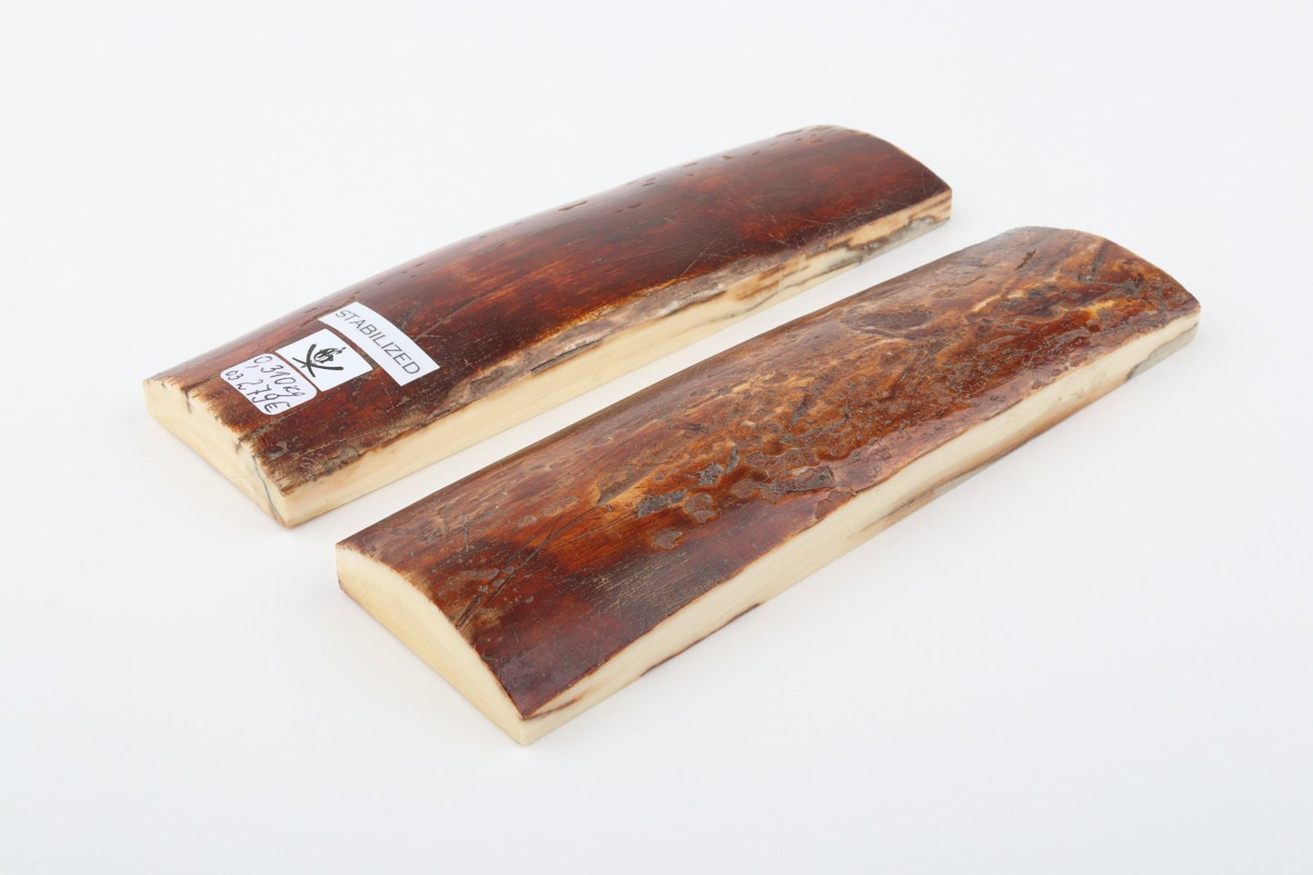 Stabilised mammoth bark scales