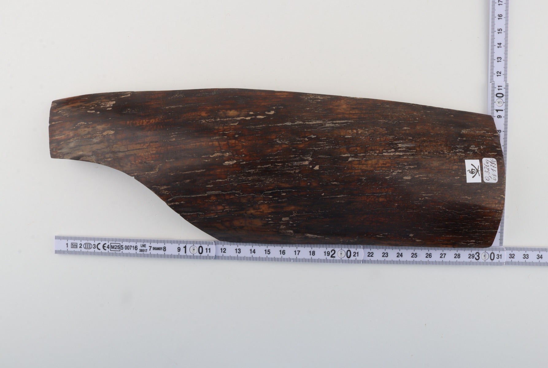 Brown mammoth bark