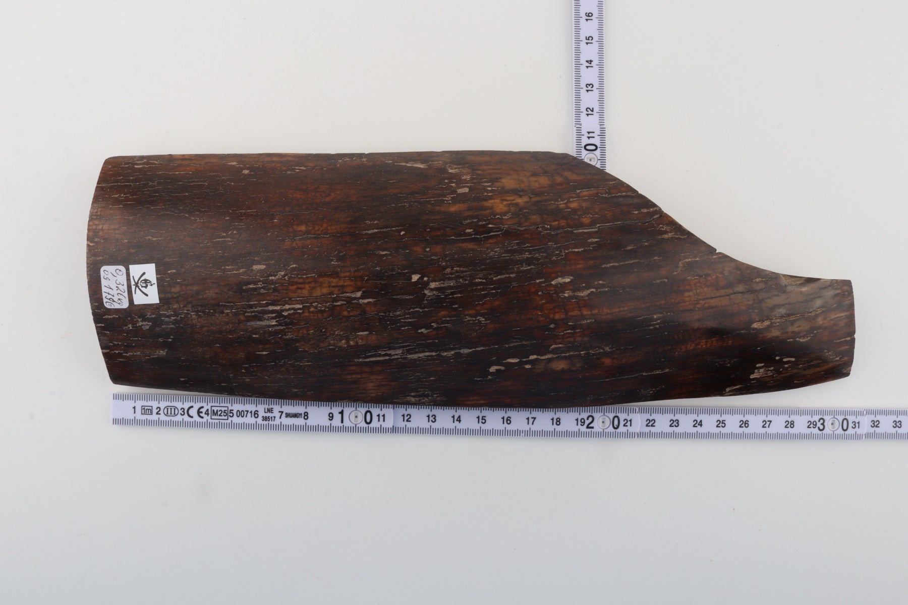 Brown mammoth bark
