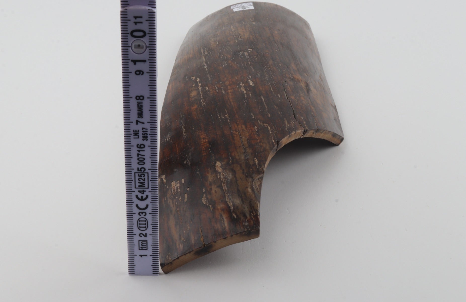 Brown mammoth bark