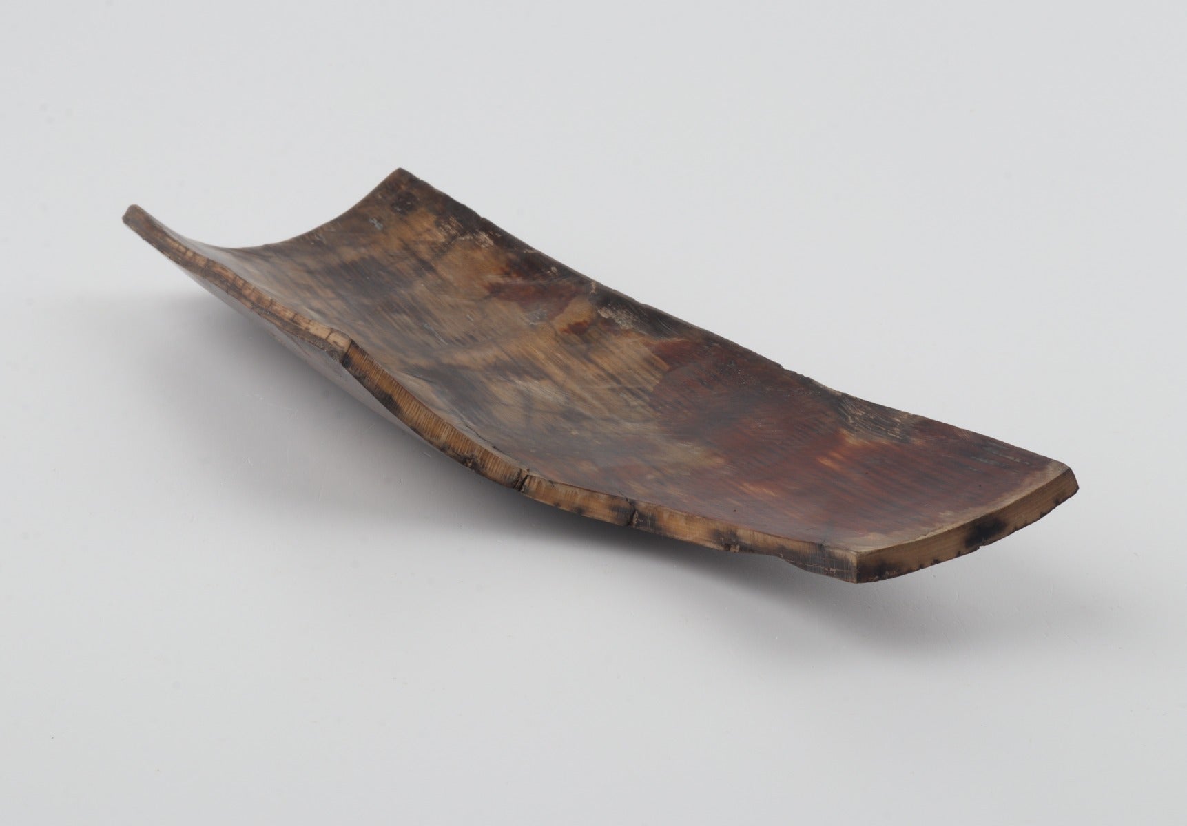 Brown mammoth bark
