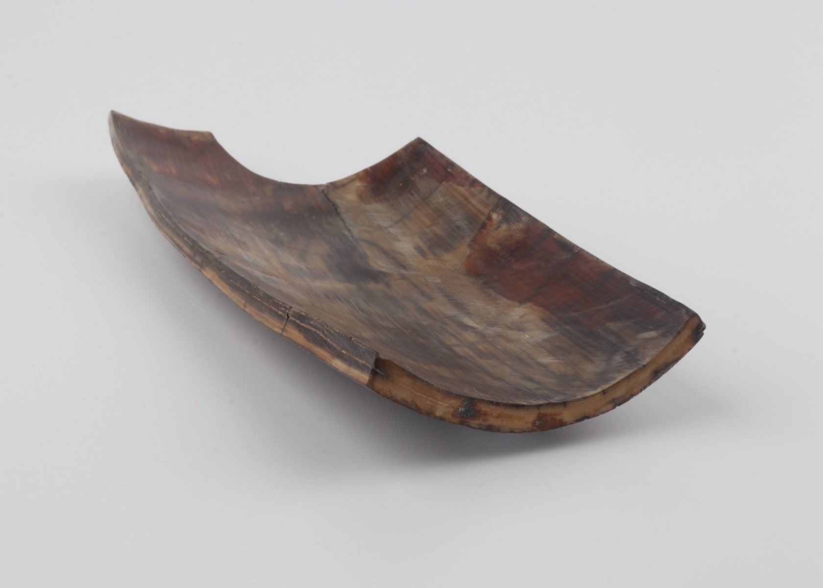 Brown mammoth bark