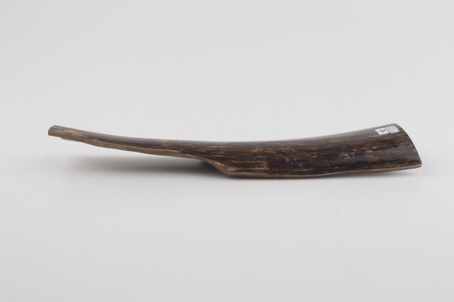 Brown mammoth bark
