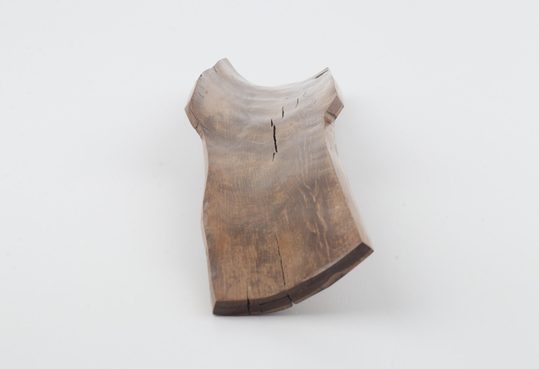 Brown mammoth bark
