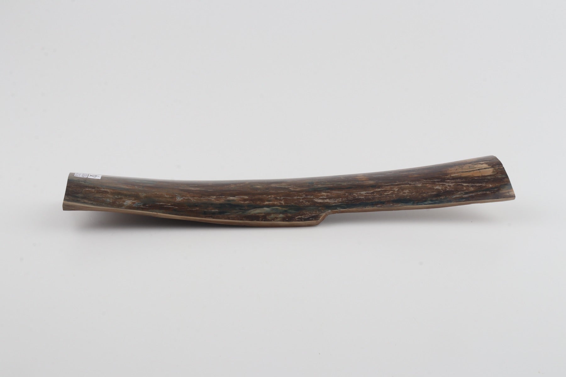 Brown mammoth bark