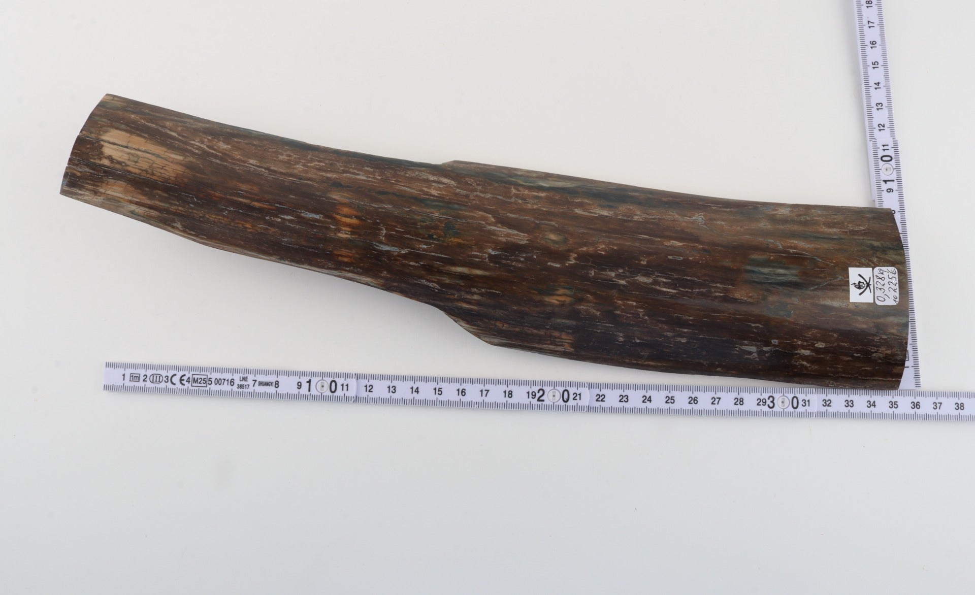 Brown mammoth bark